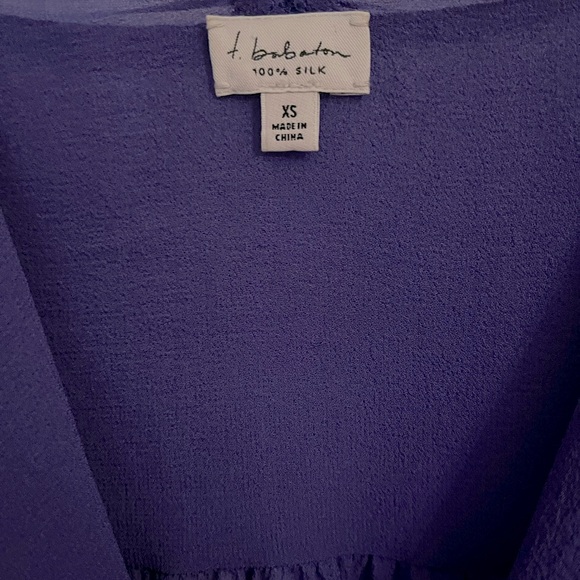 T. Babaton Silk Blouse - Picture 3 of 4